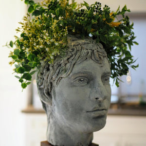 Head sculpture sitting on wood block with plant growing out of the top of the head.